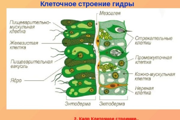 Кракен актуальная ссылка