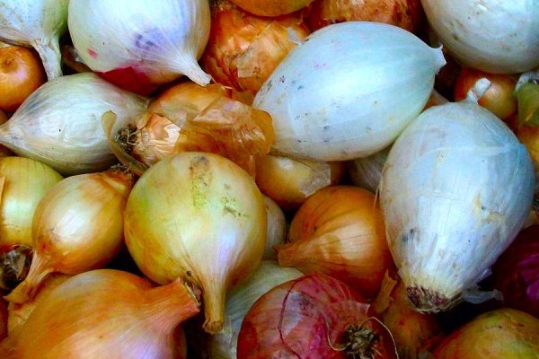 Кракен основная ссылка onion