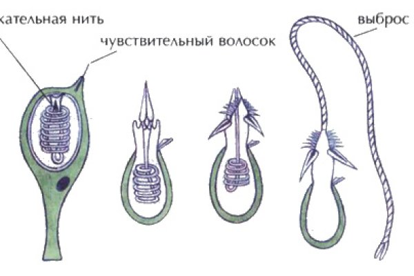 Кракен интернет площадка